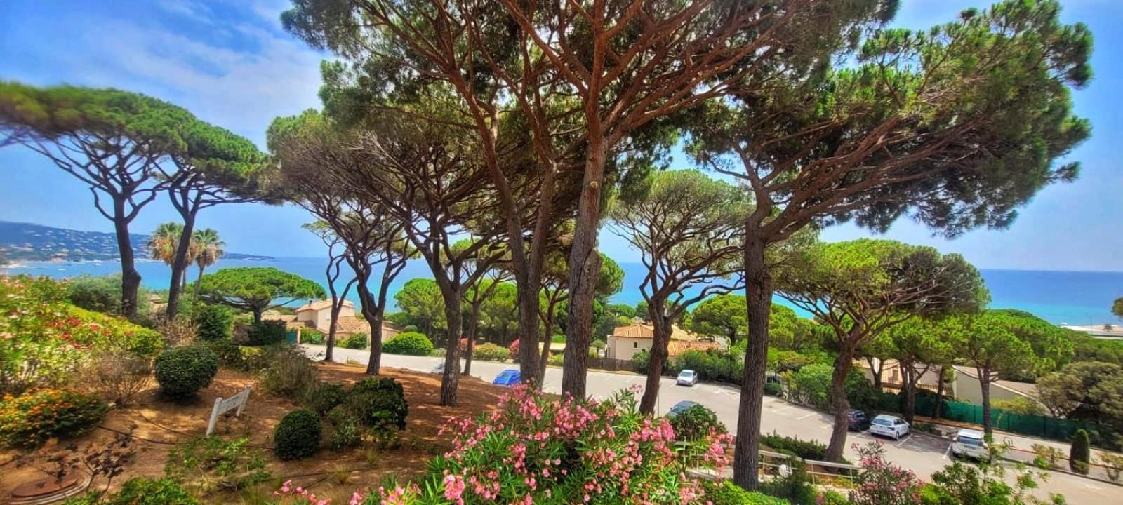 Appartement Vue Mer 200 M Des Plages - Djumbo Sainte-Maxime Dış mekan fotoğraf