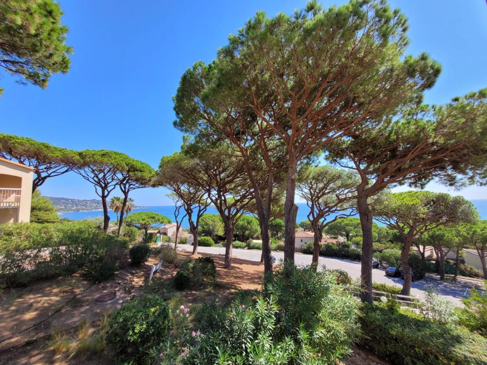 Appartement Vue Mer 200 M Des Plages - Djumbo Sainte-Maxime Dış mekan fotoğraf