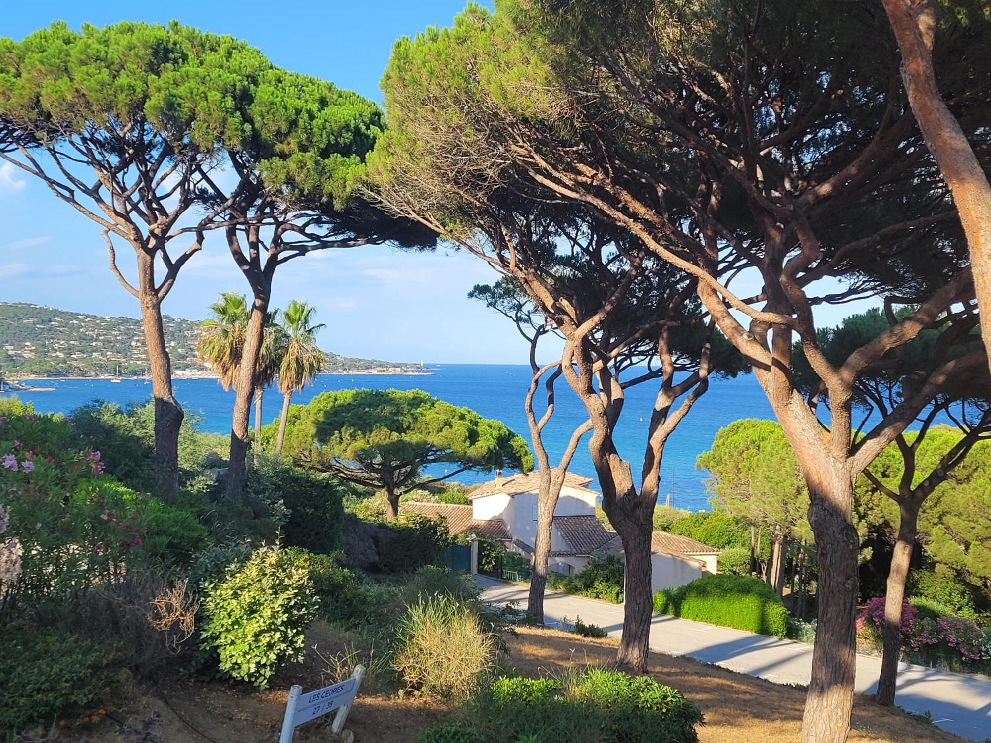Appartement Vue Mer 200 M Des Plages - Djumbo Sainte-Maxime Dış mekan fotoğraf